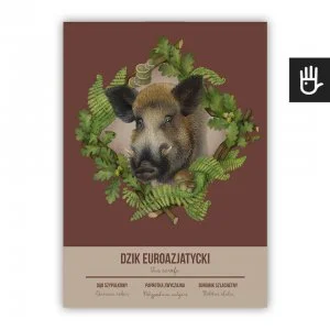 plakat poster dzik na bordowym tle