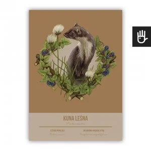 plakat strażnicy lasu - kuna leśna na brązowym tle