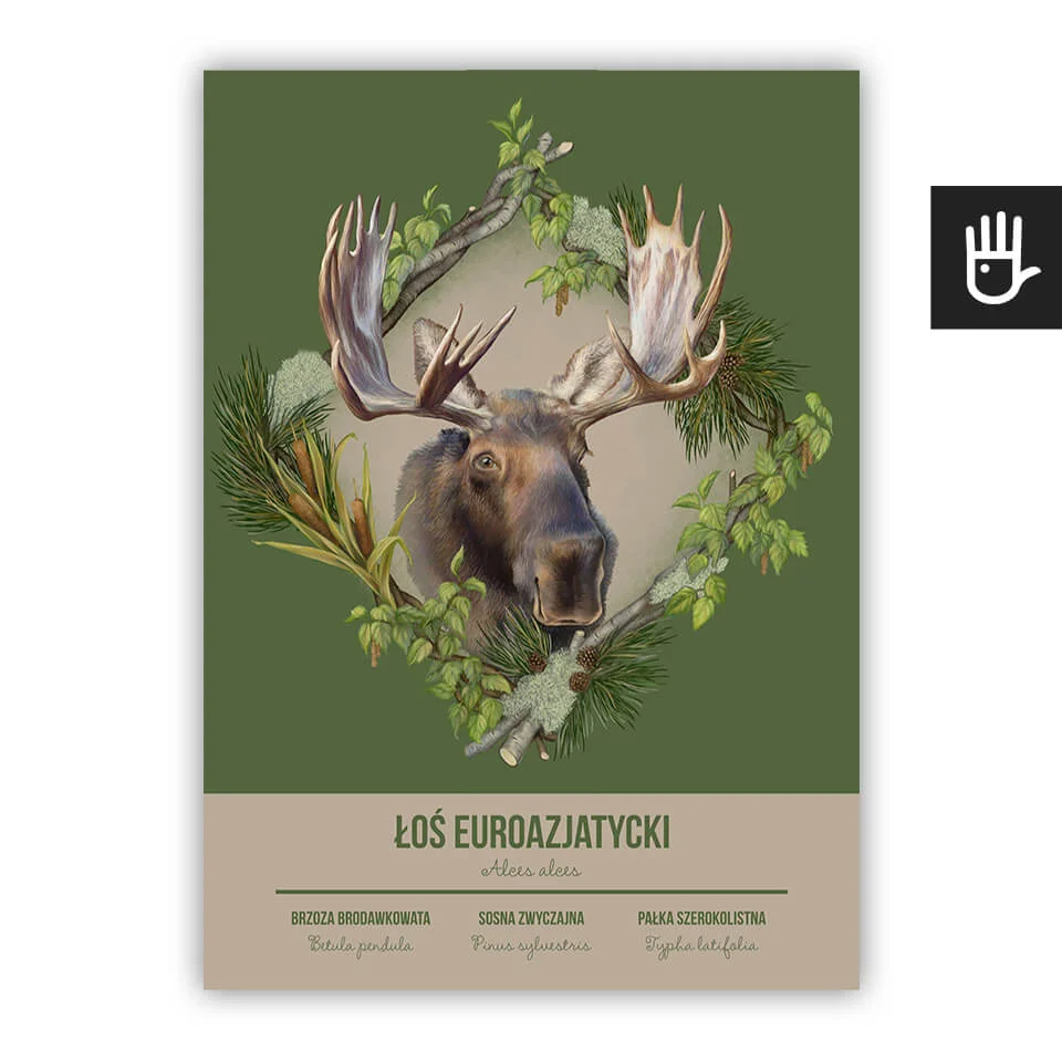 plakat poster łoś na zielonym tle