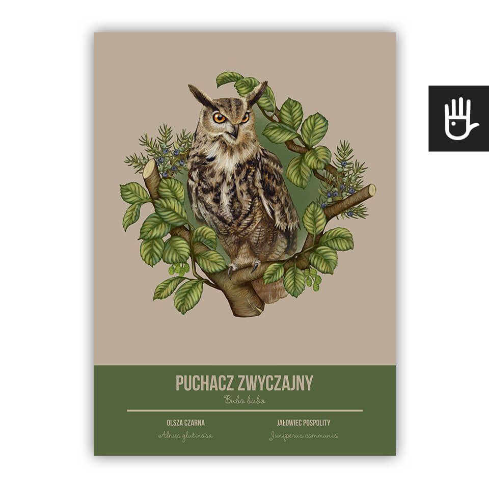plakat poster sowa puchacz na beżowym tle