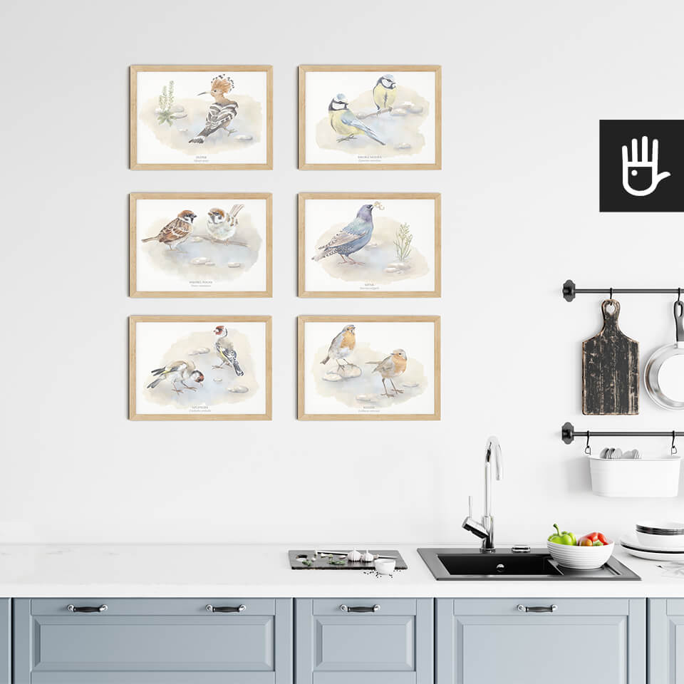 wnętrze kuchni z plakatami wróbel, szpak, szczygieł, sikora, rudzik i dudek z serii plakaty polne ptaki