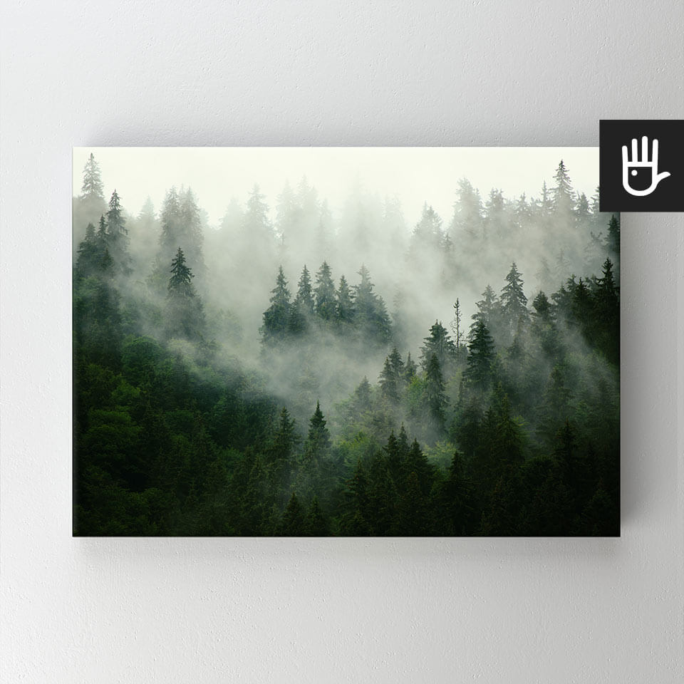 Obraz na płótnie bawełnianym z lasem we mgle