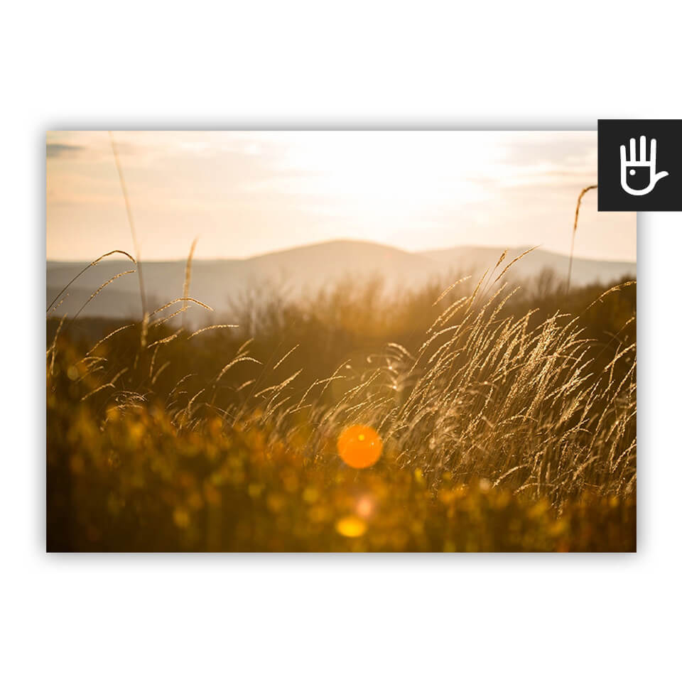 Plakat Słońce w trawie z widokiem złotej trawy na tle gór w słońcu