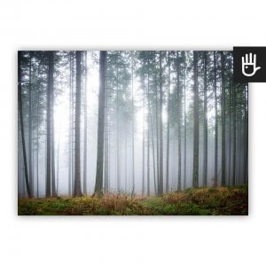 Plakat Tajemniczy mglisty las