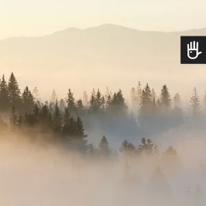 fototapeta wschód słońca nad lasem