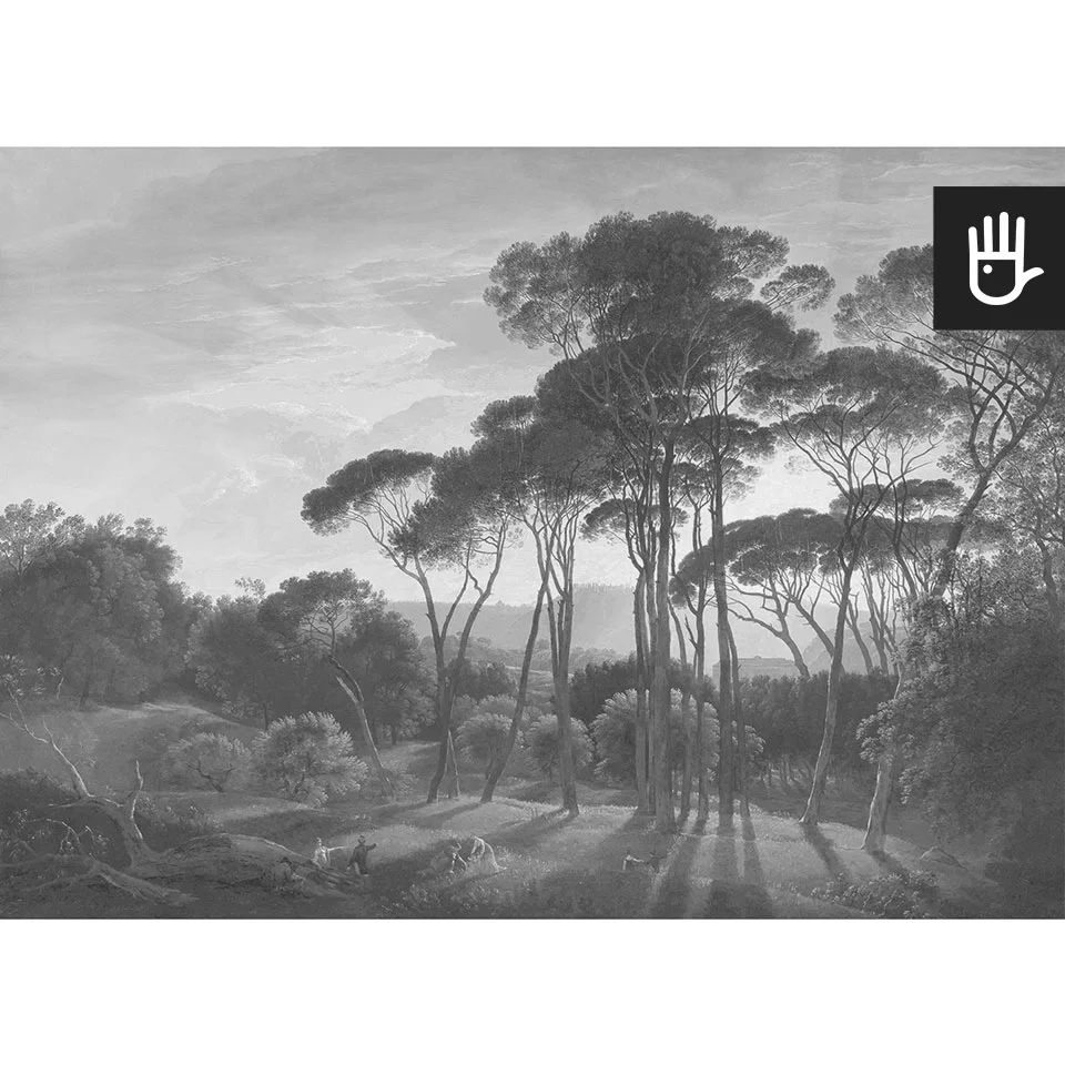 Widok fototapety Włoski krajobraz w szarości z sosnami pinii