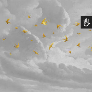Fototapeta Złote jaskółki w śród szarych chmur z ptakami na niebie