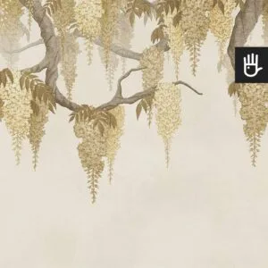 Fototapeta Beżowe Wisterie z gałęziami wisterii obwieszonymi kiśćmi kwiatów w kolorze beżowym