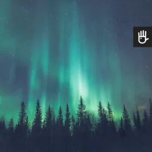 Fototapeta zorza z nocnym niebem z zorzą polarną i gwiazdami ponad ciemnym lasem