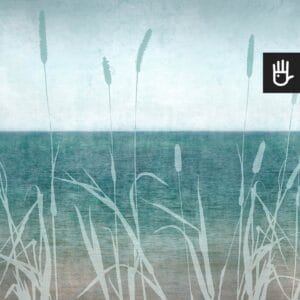 Fototapeta brzeg ciszy z widokiem oceanu i niebieskim kształtem pałek wodnych