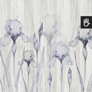 Fototapeta niebieskie irysy z kwiatami i pąkami na betonowym tle w pionowe pasy