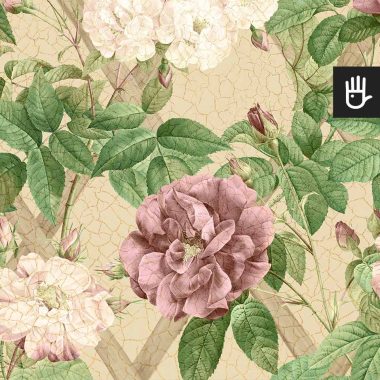Tapeta popołudniowe rosarium w wielobarwne kwiaty