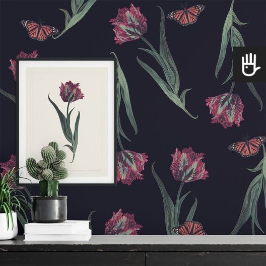 tulipan-czarny-galeria